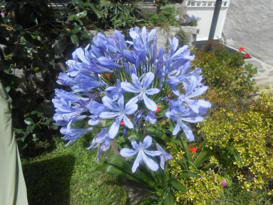 Casa Colori Βίλα Poggiridenti Εξωτερικό φωτογραφία